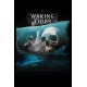 Waking Tides Steam CD Key