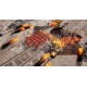 Total Rush Steam CD Key