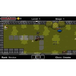 Dungeon Arena - Class Gnome DLC Steam CD Key