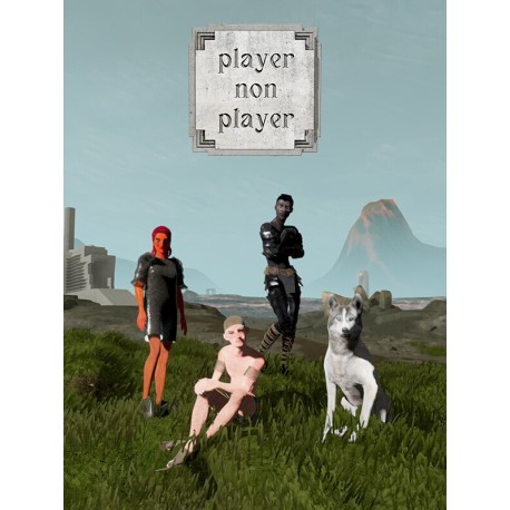 Player Non Player Steam CD Key