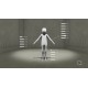 Player Non Player Steam CD Key