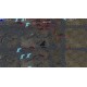 Survivors of the Plague Steam CD Key