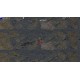 Survivors of the Plague Steam CD Key