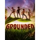 Grounded PS4/PS5 Account