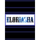 Eloriasha PC Steam CD Key