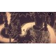 Hauntii PC Steam CD Key