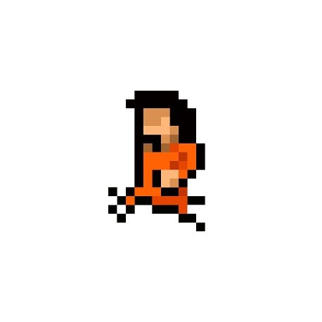 Prison Run and Gun PC Steam CD Key