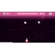 Rhythm Bang PC Steam CD Key