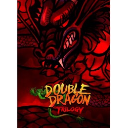 Double Dragon Trilogy Steam CD Key
