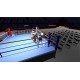 Boxing GO PC Steam CD Key