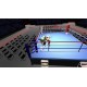 Boxing GO PC Steam CD Key