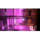 Oddworld: New 'n' Tasty PC Epic Games Account