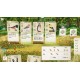 Wingspan PC Steam Account