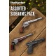 theHunter: Call of the Wild - Assorted Sidearms Pack DLC PC Steam CD Key