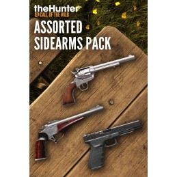theHunter: Call of the Wild - Assorted Sidearms Pack DLC PC Steam CD Key