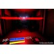 Unknown Battle PC Steam CD Key