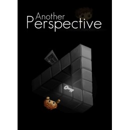 Another Perspective EU PC Steam CD Key