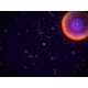 Osmos PC Steam CD Key