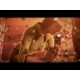 Melissa K. and the Heart of Gold Collector's Edition PC Steam CD Key