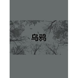 Crows - 乌鸦 PC Steam CD Key