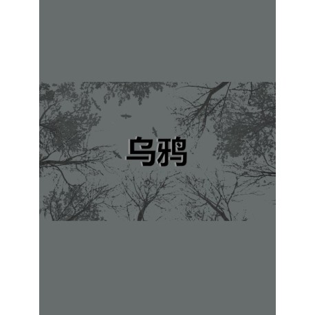 Crows - 乌鸦 PC Steam CD Key