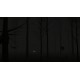 Crows - 乌鸦 PC Steam CD Key