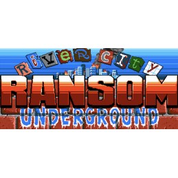 River City Ransom: Underground EU PC Steam CD Key