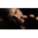 Devil May Cry 5 + Playable Character: Vergil DLC LATAM PC Steam CD Key