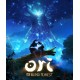Ori and the Blind Forest Steam Gift