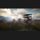 theHunter: Call of the Wild - Master Hunter Bundle AR XBOX One / Xbox Series X|S CD Key