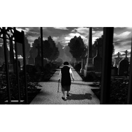 The Graveyard Steam CD Key