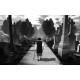 The Graveyard Steam CD Key