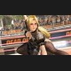 DEAD OR ALIVE 6 Digital Deluxe Edition NA PC Steam CD Key