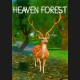 Heaven Forest - VR MMO PC Steam CD Key