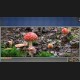 Jigsaw Puzzle Pack - Pixel Puzzles Ultimate: Variety Pack XXL DLC PC Steam CD Key
