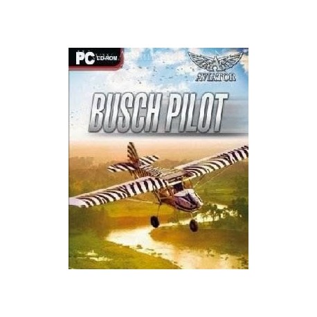 Aviator - Bush Pilot Steam CD Key