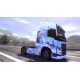 Euro Truck Simulator 2 - Ice Cold Paint Jobs Pack DLC Steam CD Key