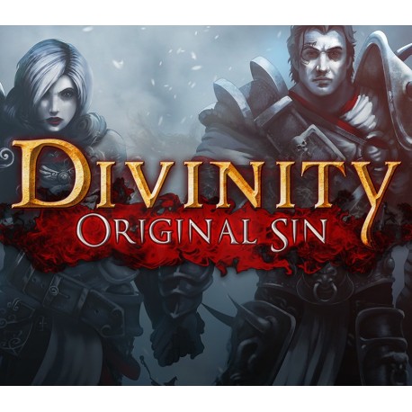Divinity: Original Sin - Source Hunter DLC Steam CD Key