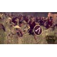 Total War: ROME II - Daughters of Mars DLC PC Steam CD Key