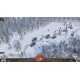 Battle Academy 2: Eastern Front Steam CD Key