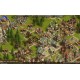 The Settlers Online - Buff Package Key
