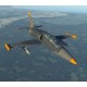 DCS: L-39 Albatros Digital Download CD Key