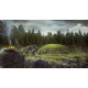 Far Cry Primal Digital Apex Edition Ubisoft Connect CD Key
