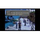 Final Fantasy VII & VIII PC Steam CD Key