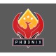 CS:GO - Series 2 - Phoenix Collectible Pin