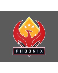 CS:GO - Series 2 - Phoenix Collectible Pin