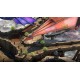 Torment: Tides of Numenera - Mindforged Synthsteel Plating DLC PC Steam CD Key