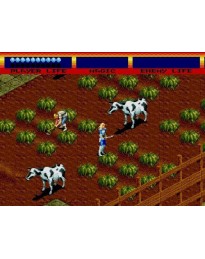 Light Crusader Steam CD Key