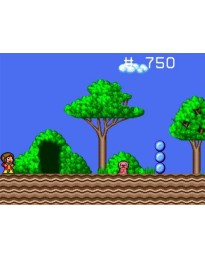 Alex Kidd in the Enchanted Castle Steam CD Key