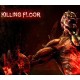 Killing Floor - Community Weapon Packs Bundle DLC Steam CD Key